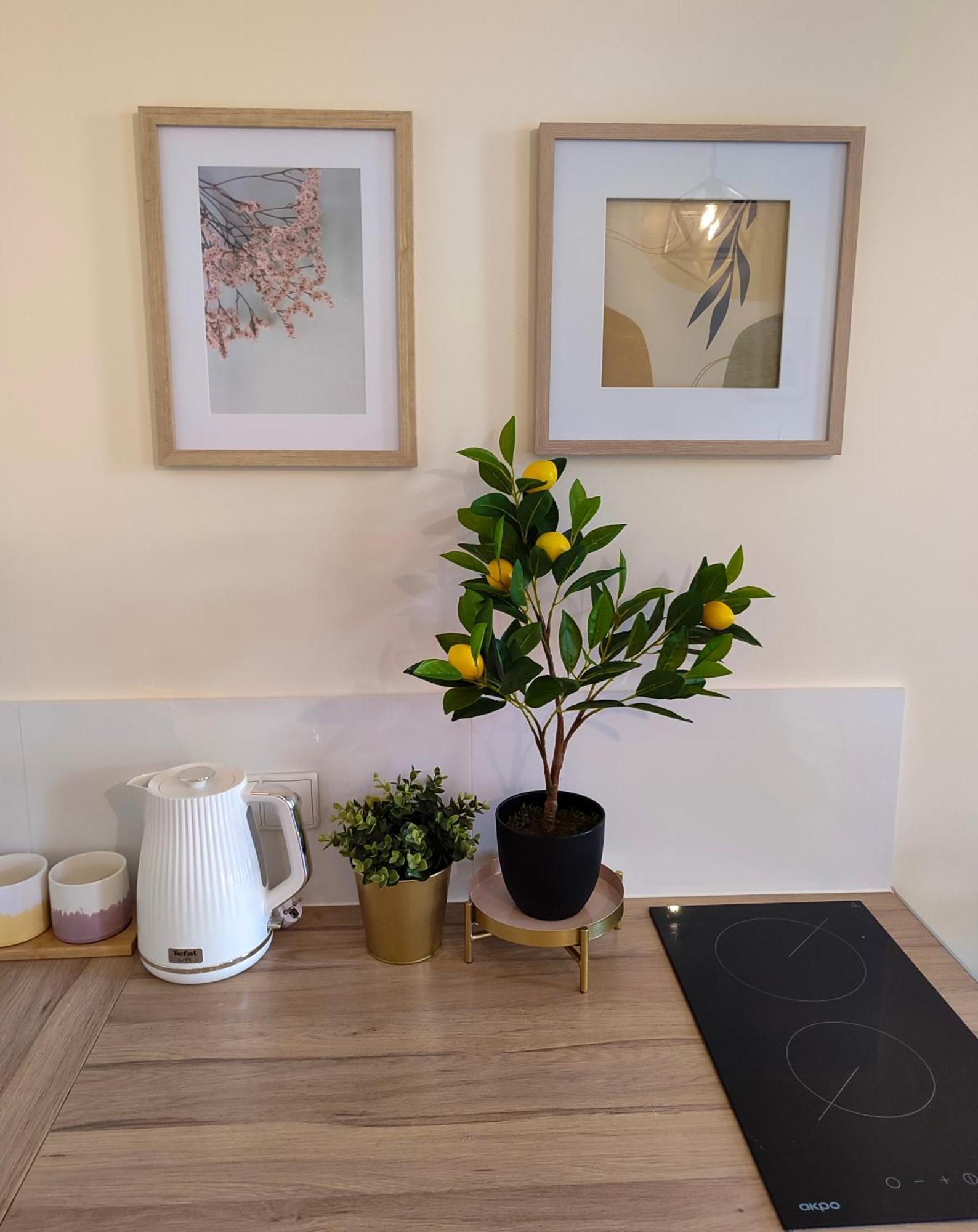 Apartamenty Piekary 11 Przy Wisle By Rentoom Stary Toruń Dış mekan fotoğraf